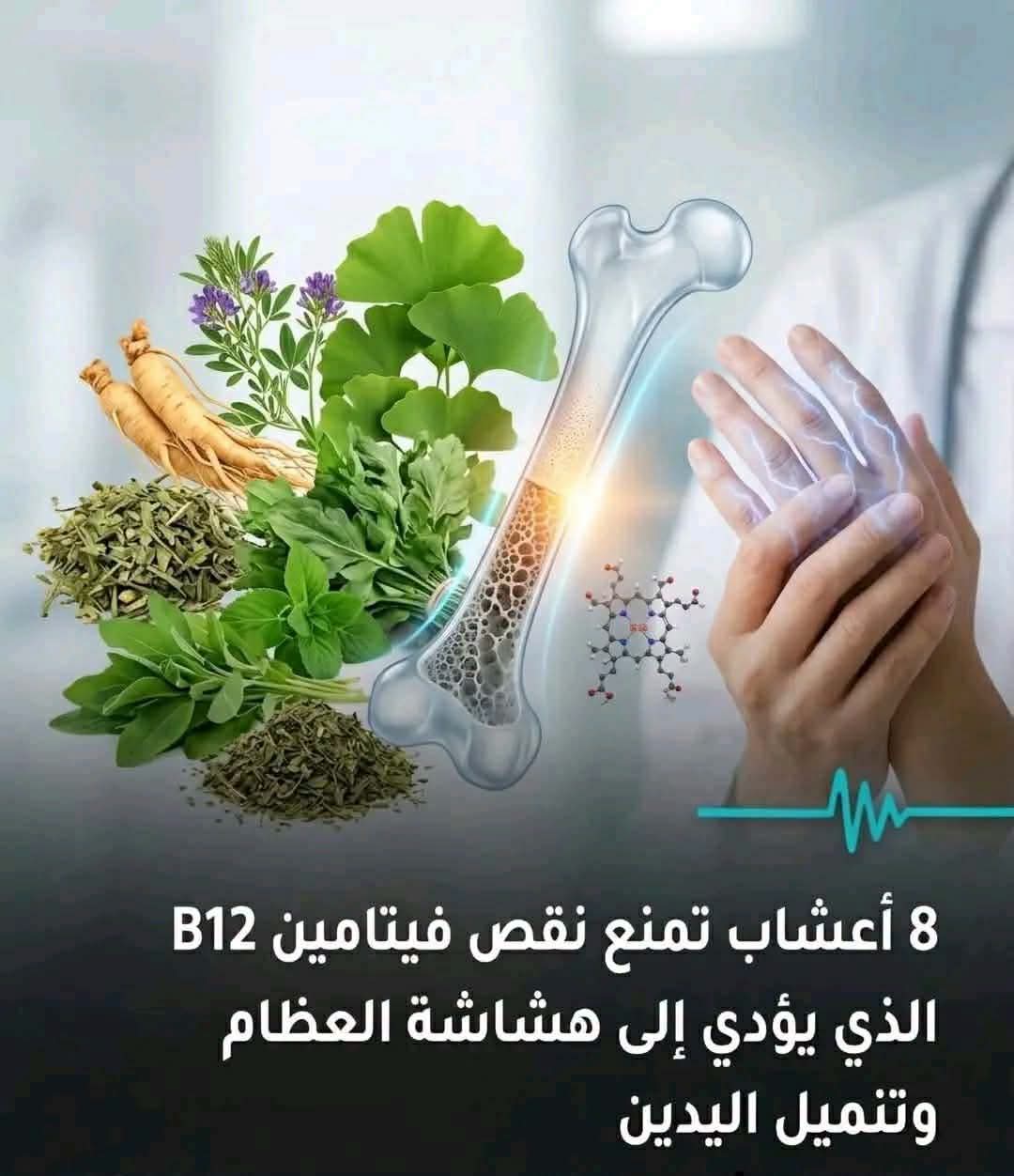 8 أعشاب تمنع نقص فتامين B12 الذي يؤدي إلى هشاشة العضام وتنميل اليدين..
