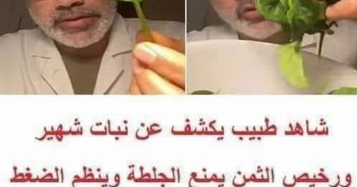 طبيب يكشف عن نبات شهير ورخيص الثمن يمنع الجلطة