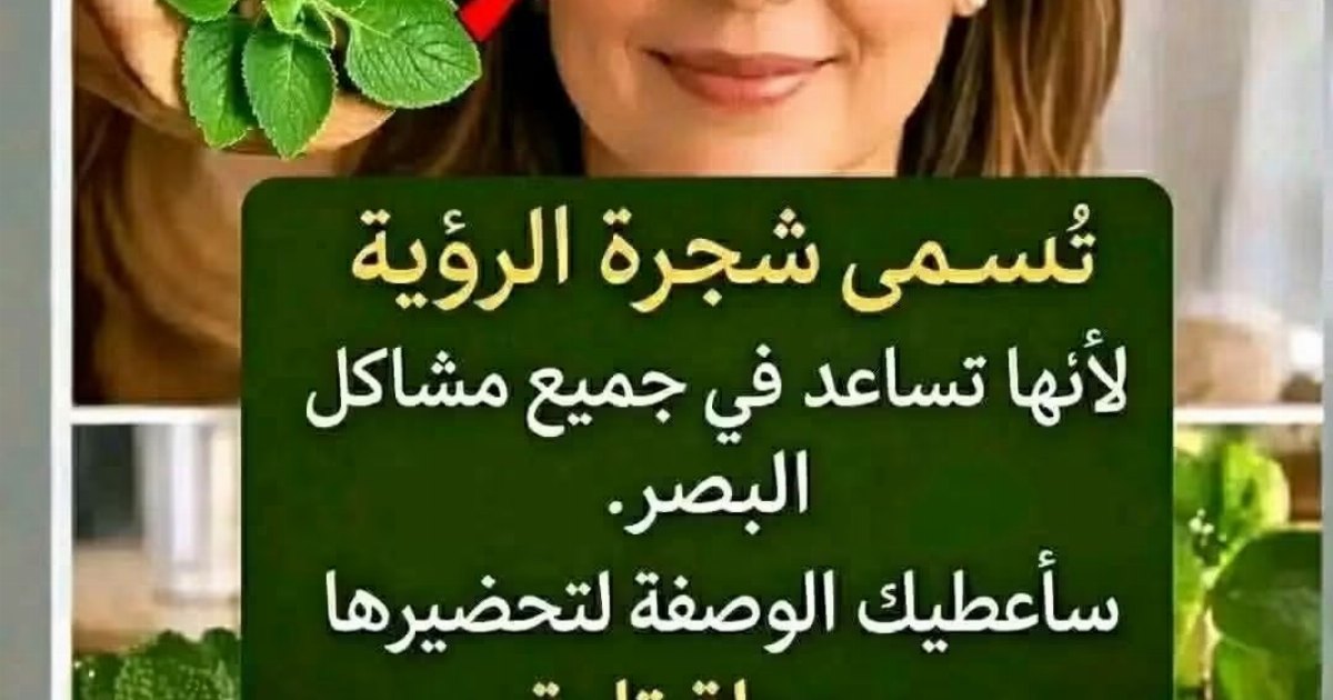 يُسمّى شجرة الرؤية لأنه يساعد على تخفيف جميع مشاكل النظر. سأعطيك الوصفة مقابل قول « OK » فقط. 👁️🌿✨