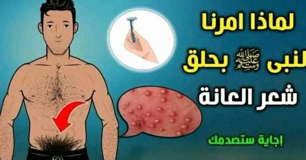 لماذا حثنا الرسول بحلق شعر العانة كل 40 يوما.. ستصدم من الإجابة .. السبب هو..عرض المزيد