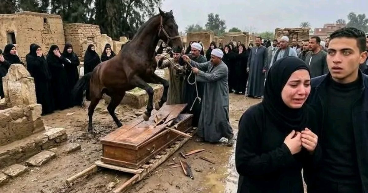 حصان اقتحم المقاپر أثناء جنازة مزراع