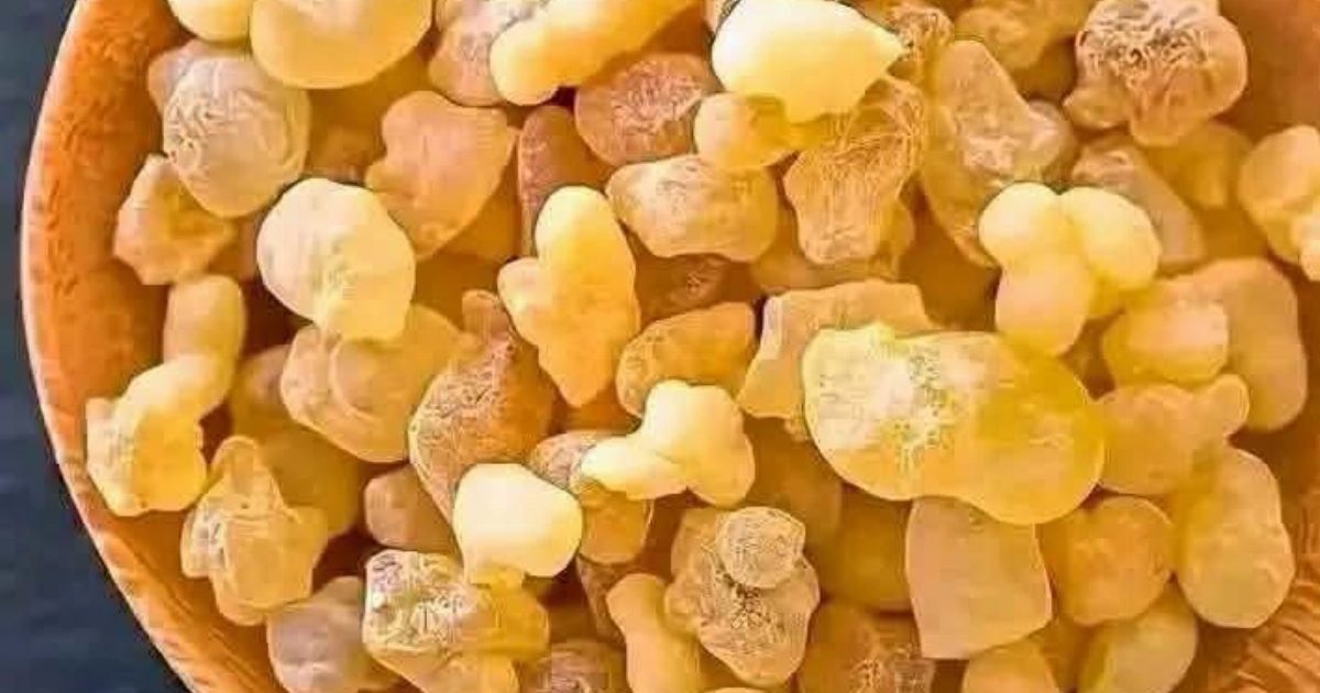 7 معجزات تحدث لجسمك عند شرب منقوع اللبان على الريق..عرض المزيد