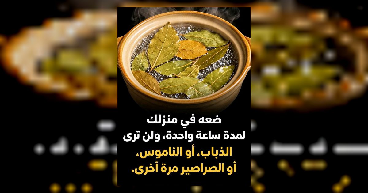 ضعـ.ـه في ركن منزلك وبهذه الطريـ.ـقة وتنتهي معانـ.ـاتك مع حشـ.ـرات