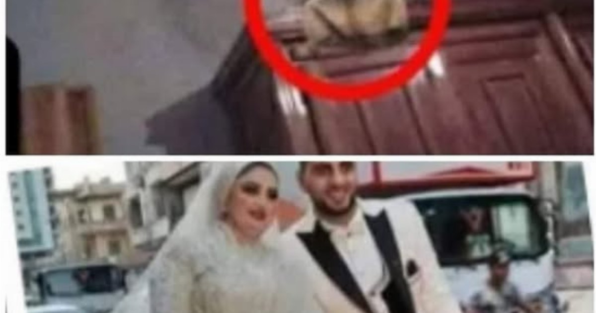 رابع يوم فرحها لقوها الجزء التانى والأخير