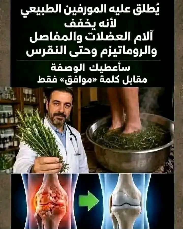 لنرَ ماذا يفعل إكليل الجبل بجسمك…..,في التعليقات